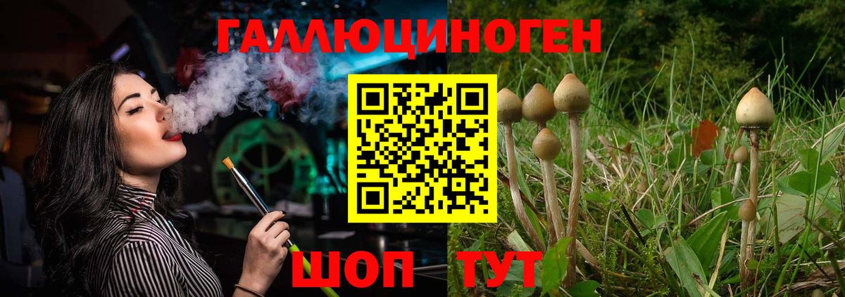 A-PVP Камень-на-Оби