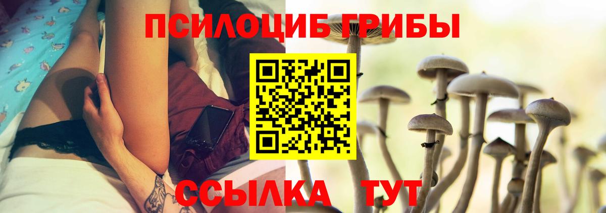 Галлюциногенные грибы Psilocybine cubensis  Галлюциногенные грибы Psilocybine cubensis  Вход с VPN  Камень-на-Оби 